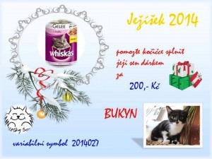 darecek_pro_kocicky_sos_hodonin.jpg